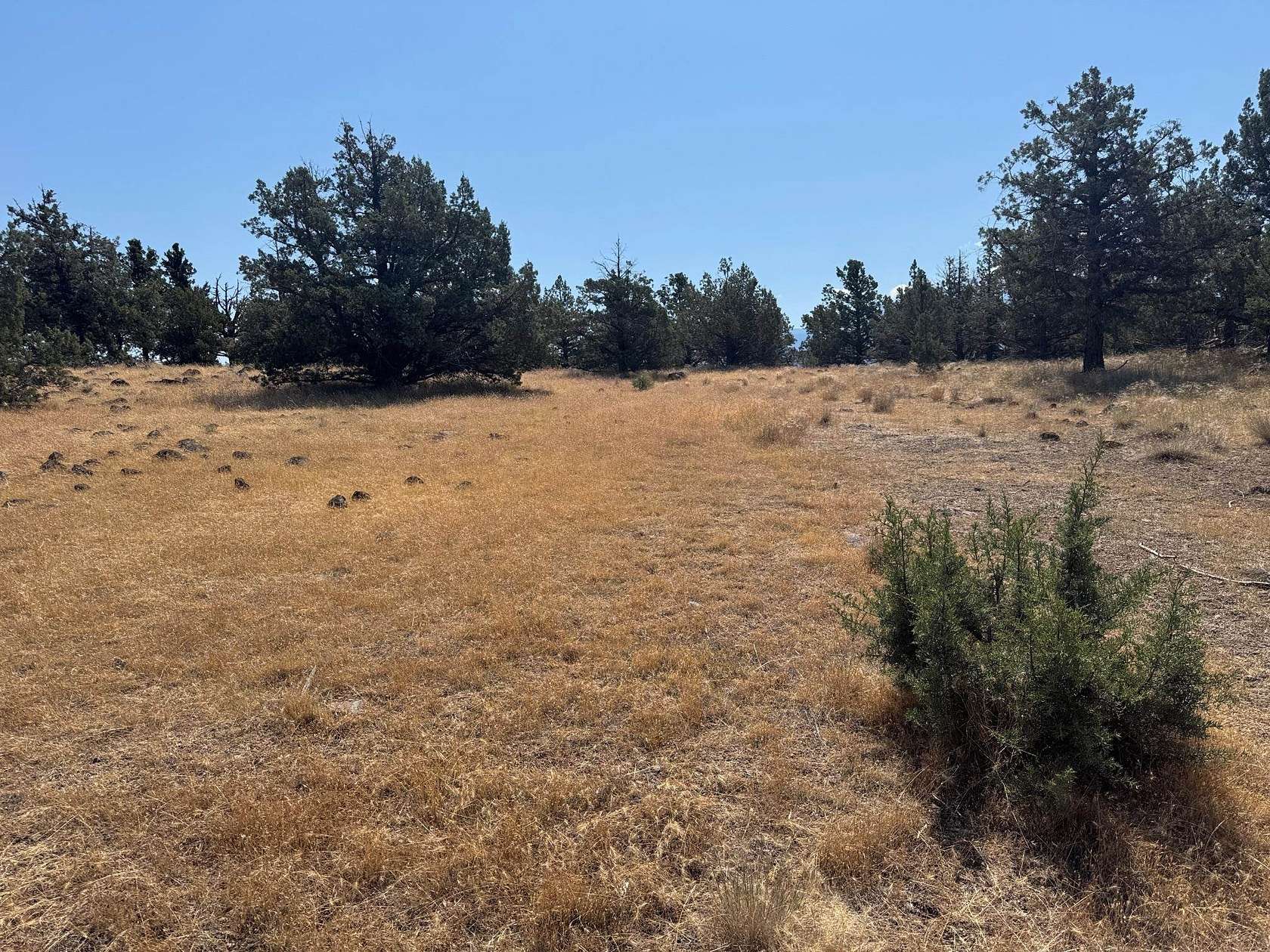 0.28 Acres of Residential Land for Sale in Weed, California