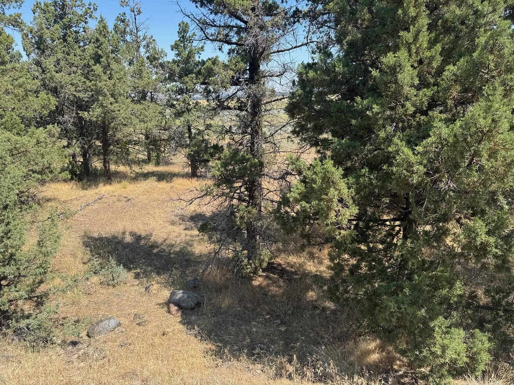 0.33 Acres of Residential Land for Sale in Weed, California
