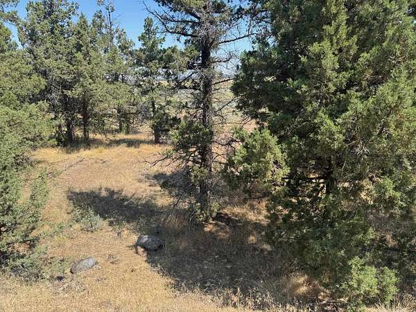 0.33 Acres of Residential Land for Sale in Weed, California
