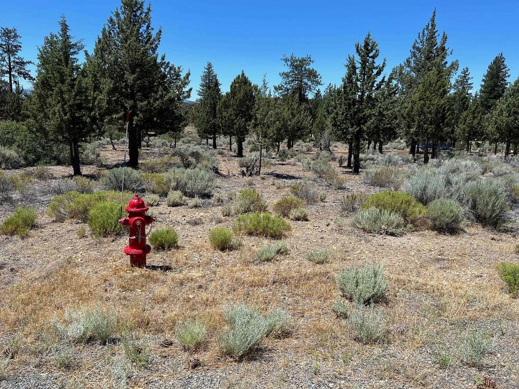 0.23 Acres of Residential Land for Sale in Weed, California