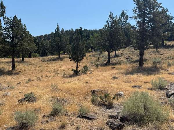 0 28 Acres of Residential Land - Weed Ca 144306551 