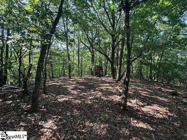 25 Acres of Recreational Land for Sale in Pickens, South Carolina