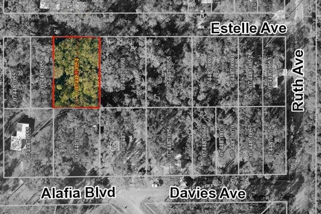 0.34 Acres of Residential Land for Sale in Brandon, Florida