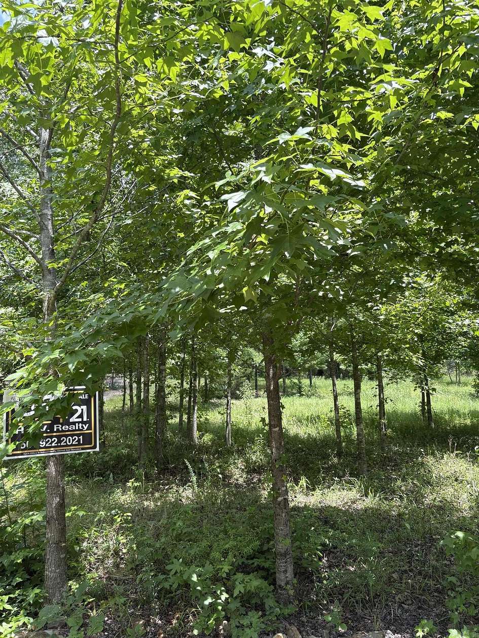 0.21 Acres of Residential Land for Sale in Hot Springs Village, Arkansas