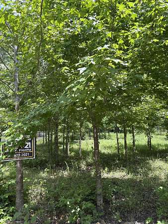0.21 Acres of Residential Land for Sale in Hot Springs Village, Arkansas