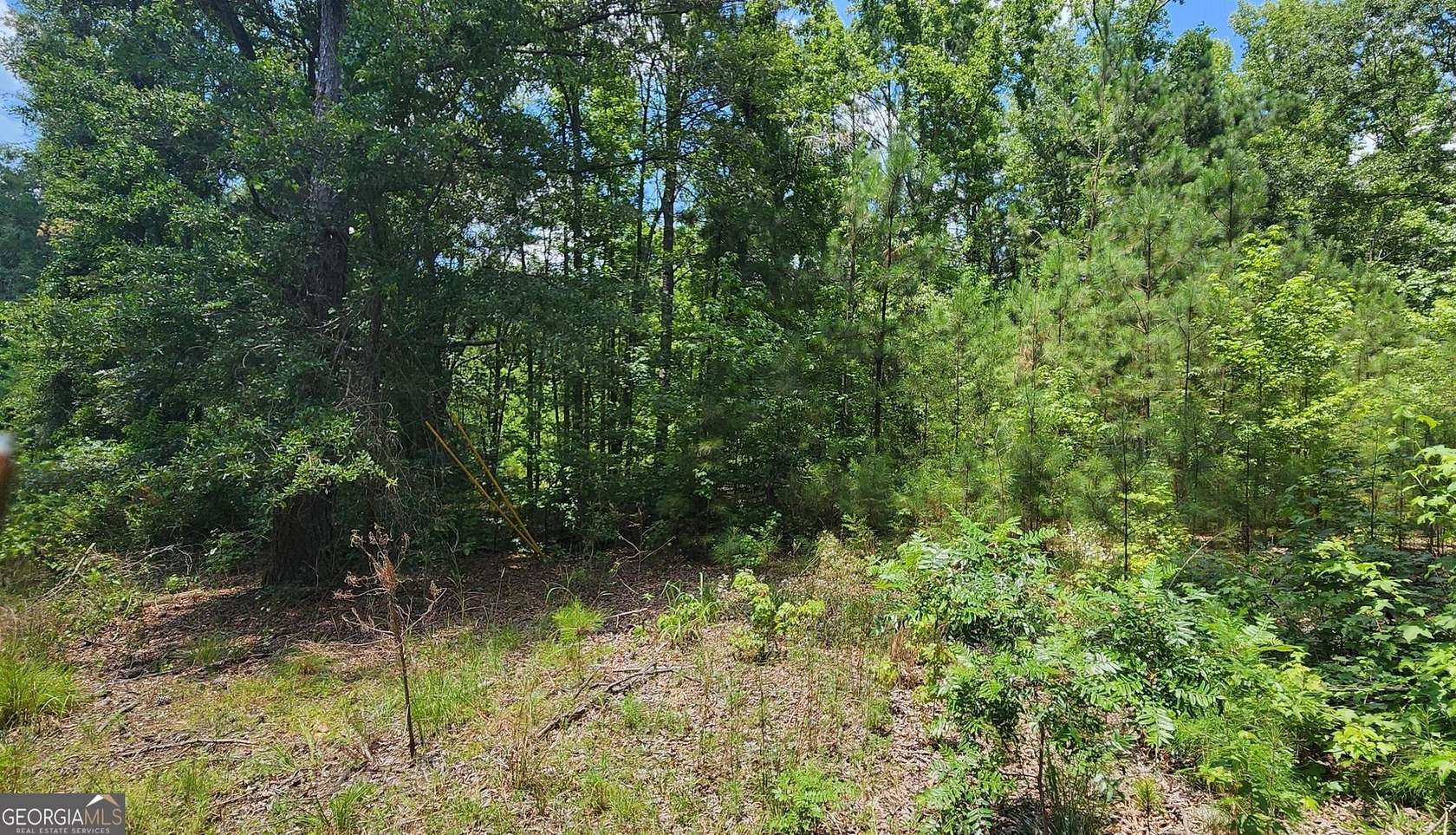 3.26 Acres of Residential Land for Sale in Jackson, Georgia