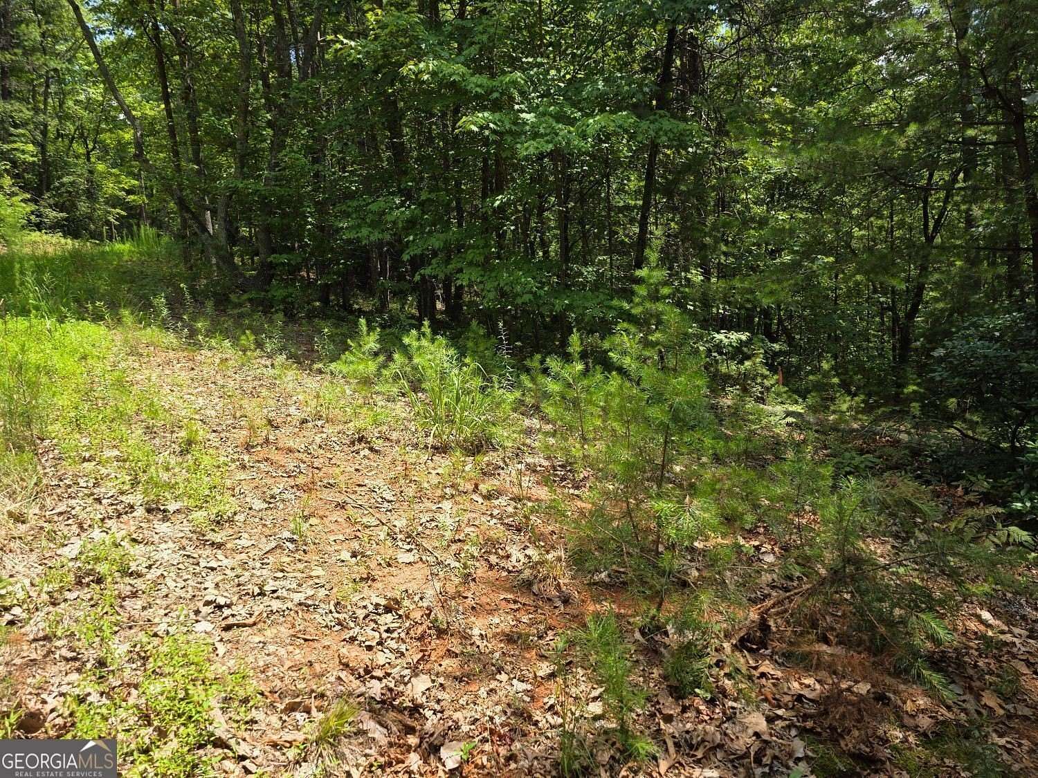 11.4 Acres of Land for Sale in Sautee-Nacoochee, Georgia