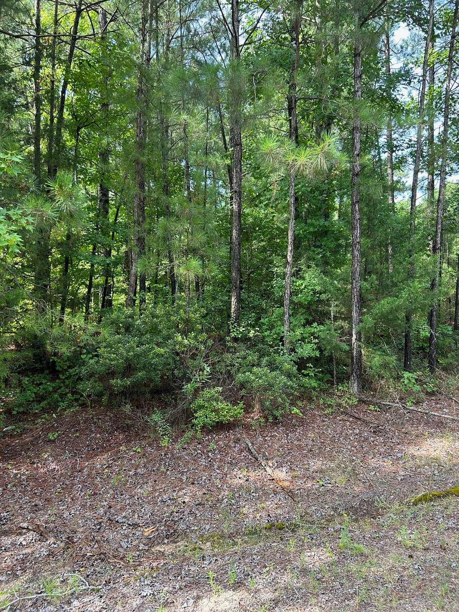 1 Acre of Land for Sale in Magnolia, Arkansas
