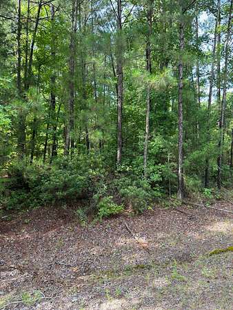 1 Acre of Land for Sale in Magnolia, Arkansas