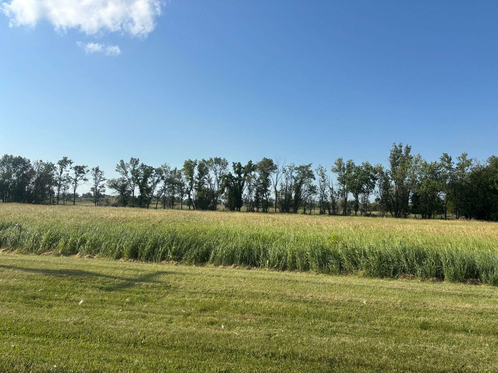 4 Acres of Residential Land for Sale in New Rockford, North Dakota