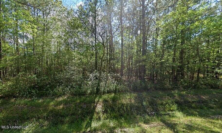 0.23 Acres of Residential Land for Sale in Bay St. Louis, Mississippi