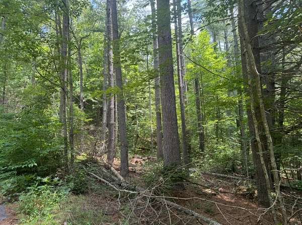 3.15 Acres of Land for Sale in Hiawassee, Georgia