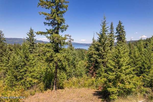 98.5 Acres of Recreational Land for Sale in Harrison, Idaho