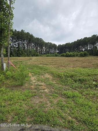 1 Acre of Residential Land for Sale in Bailey, North Carolina