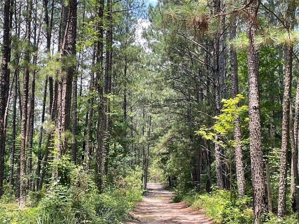 33 Acres of Recreational Land for Sale in Conyers, Georgia