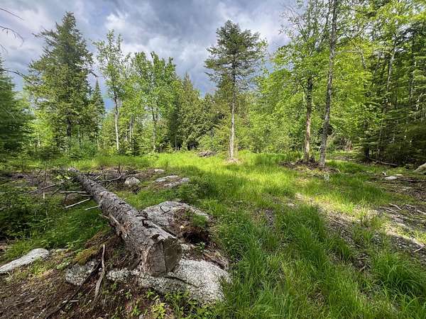 2.6 Acres of Residential Land for Sale in Dedham, Maine