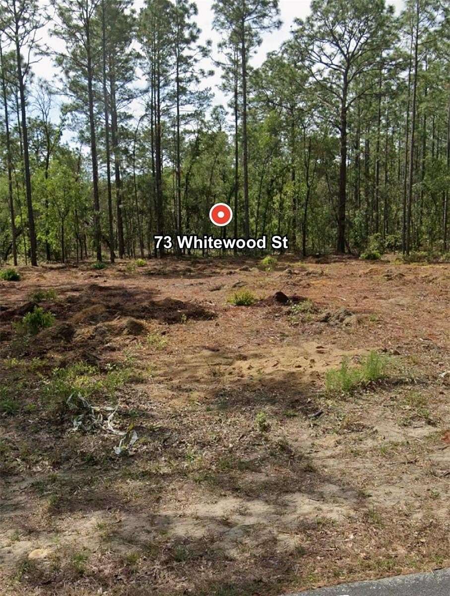 0.28 Acres of Residential Land for Sale in Homosassa, Florida