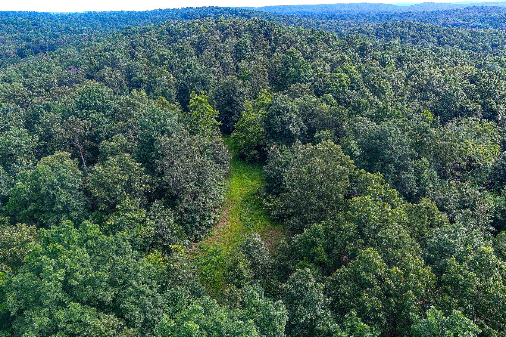 30 Acres of Land for Sale in Gatewood, Missouri