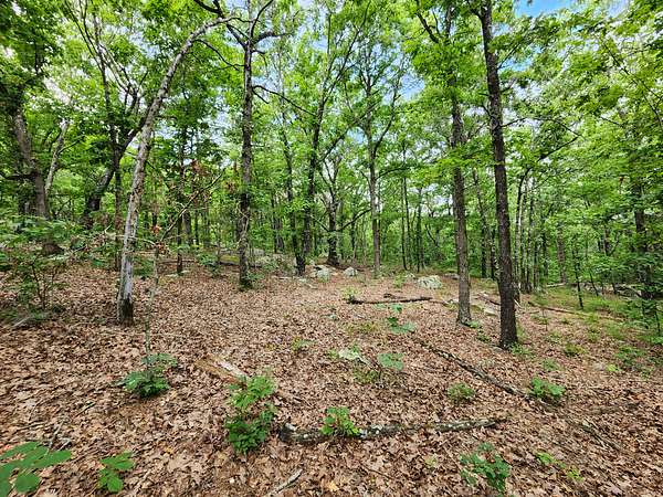 40 Acres of Recreational Land & Farm for Sale in Talihina, Oklahoma