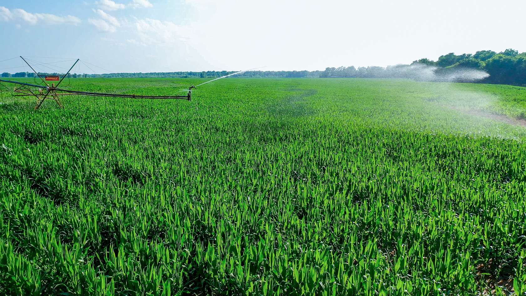 770 Acres of Recreational Land & Farm for Sale in Haworth, Oklahoma