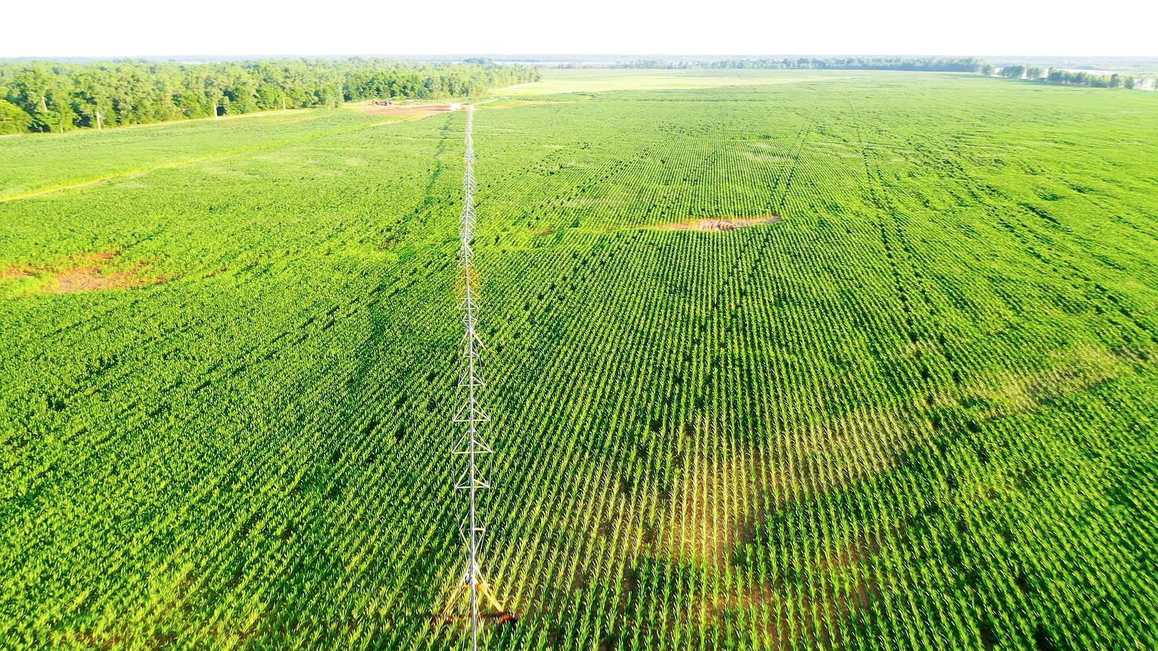 770 Acres of Recreational Land & Farm for Sale in Haworth, Oklahoma