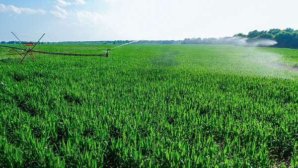 770 Acres of Recreational Land & Farm for Sale in Haworth, Oklahoma