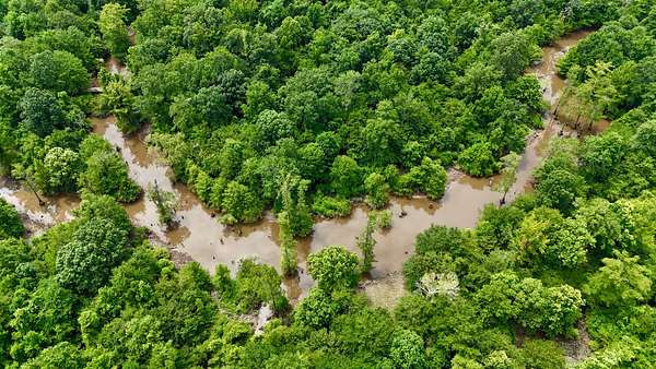 510 Acres of Land for Sale in Kilmichael, Mississippi