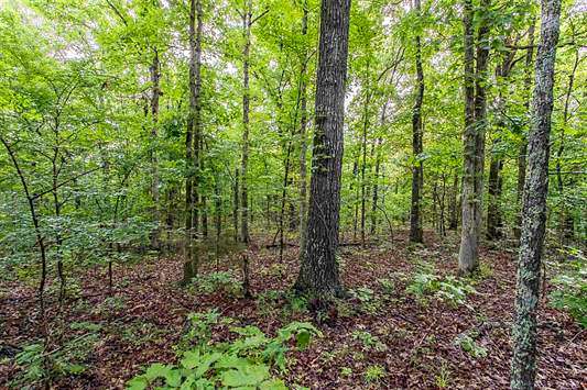 12.6 Acres of Recreational Land & Farm for Sale in Hardy, Arkansas