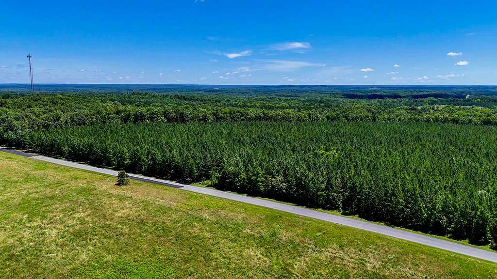 33 Acres of Land for Sale in Virgilina, Virginia