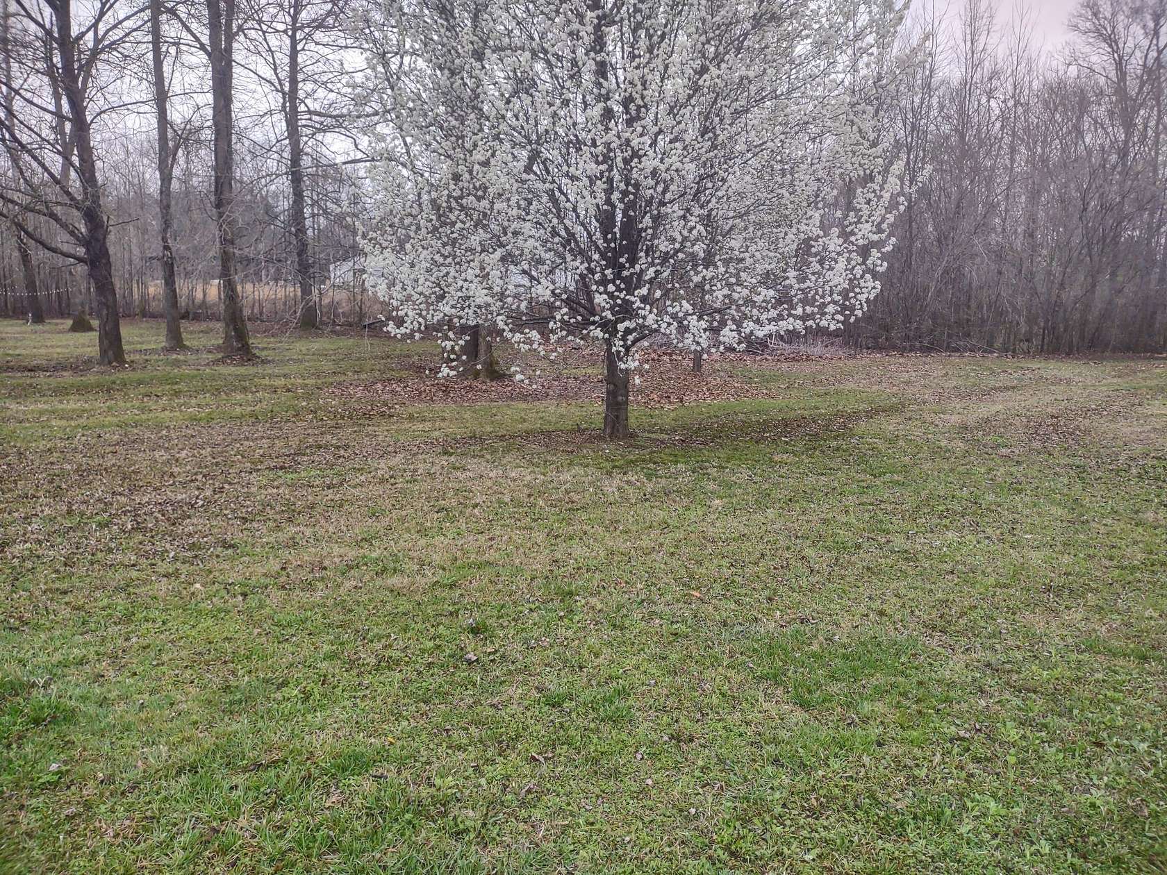 0.19 Acres of Land for Sale in Decaturville, Tennessee