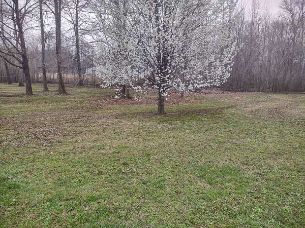 0.19 Acres of Land for Sale in Decaturville, Tennessee