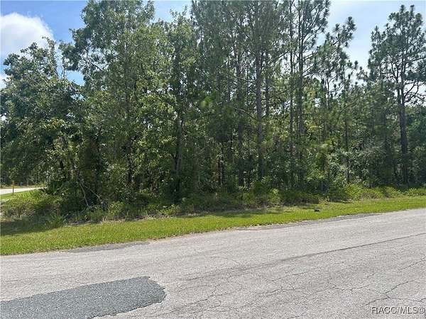 0.4 Acres of Residential Land for Sale in Homosassa, Florida