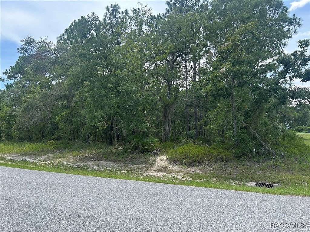 0.27 Acres of Residential Land for Sale in Homosassa, Florida