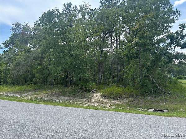 0.27 Acres of Residential Land for Sale in Homosassa, Florida