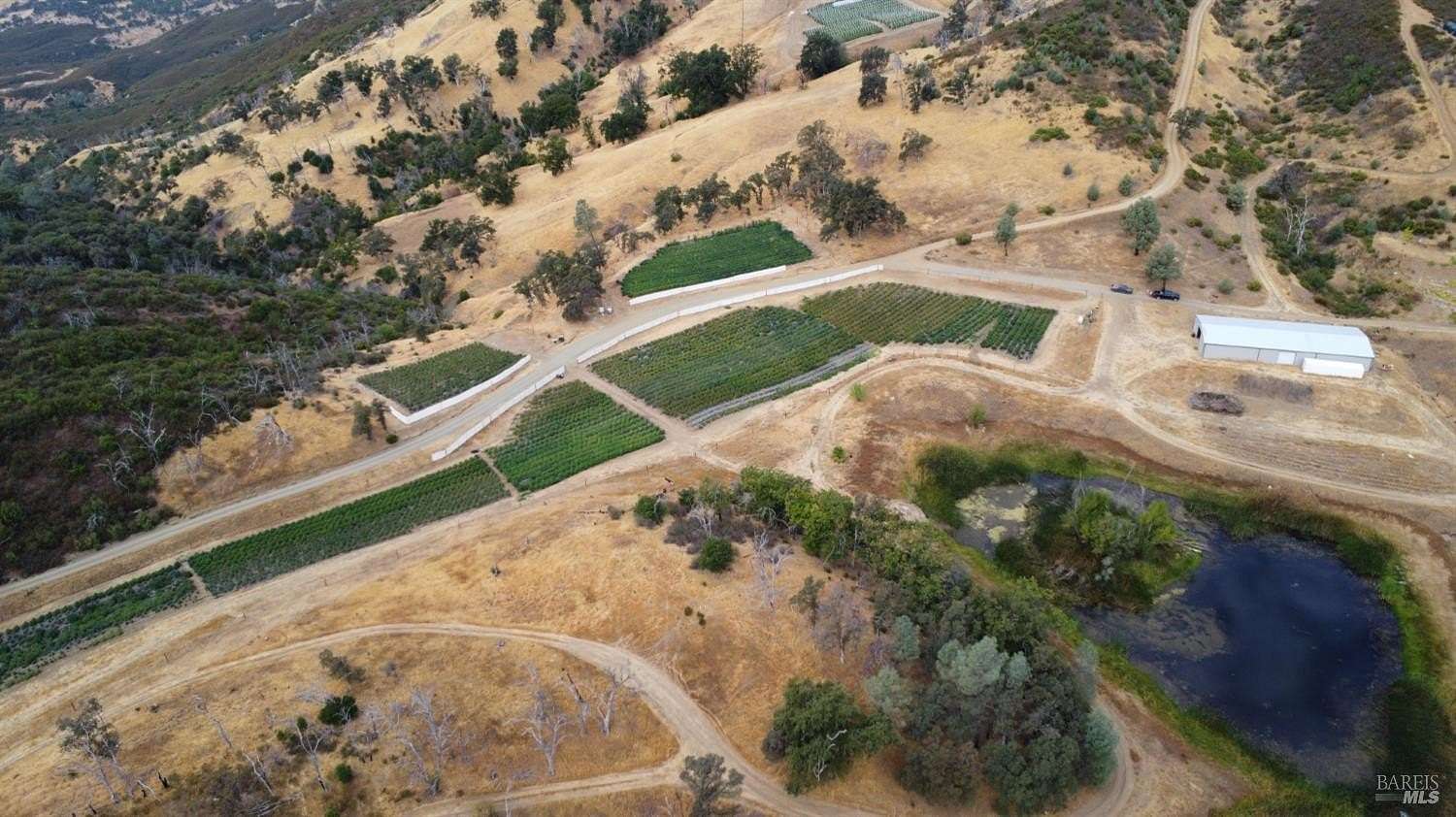 79 Acres of Recreational Land & Farm for Sale in Lower Lake, California