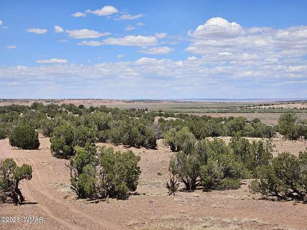 39.3 Acres of Agricultural Land for Sale in Concho, Arizona