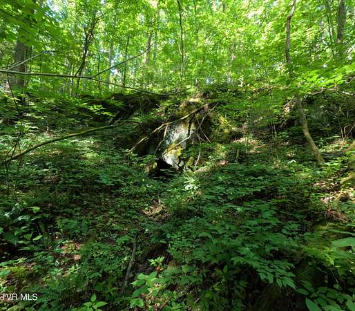 7.5 Acres of Land for Sale in Greeneville, Tennessee