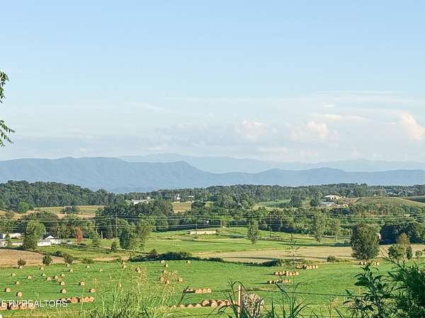 5 Acres of Residential Land for Sale in Talbott, Tennessee