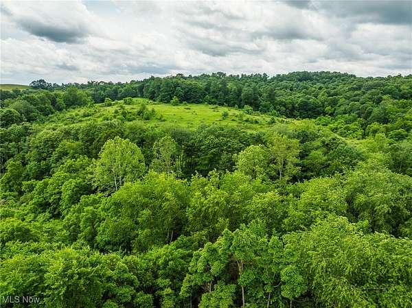 34.8 Acres of Land for Auction in Fresno, Ohio