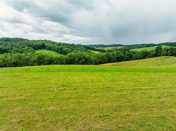 21.4 Acres of Land for Auction in Fresno, Ohio