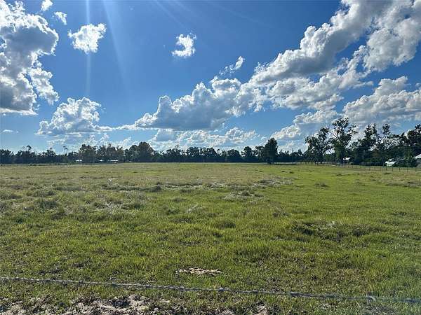 10 Acres of Land for Sale in Live Oak, Florida