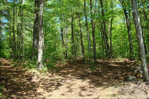 3.67 Acres of Land for Sale in Phillips, Wisconsin