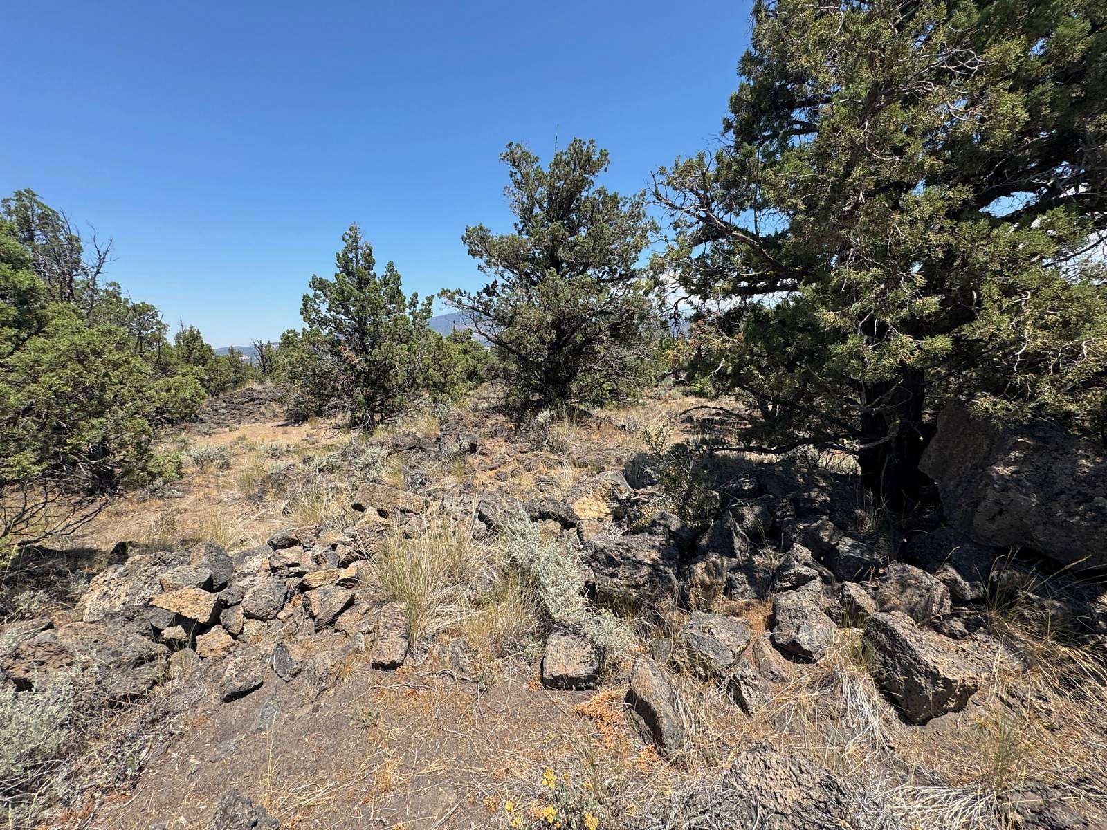 2.8 Acres of Land for Sale in Montague, California