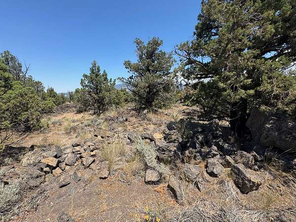 2.8 Acres of Land for Sale in Montague, California