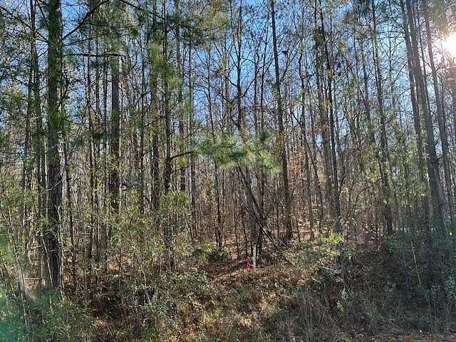 2 Acres of Land for Sale in Waverly Hall, Georgia