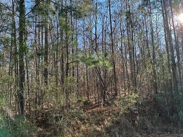 2 Acres of Land for Sale in Waverly Hall, Georgia