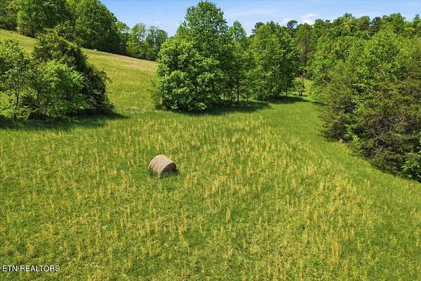 45 Acres of Recreational & Residential Land for Sale in Tazewell, Tennessee