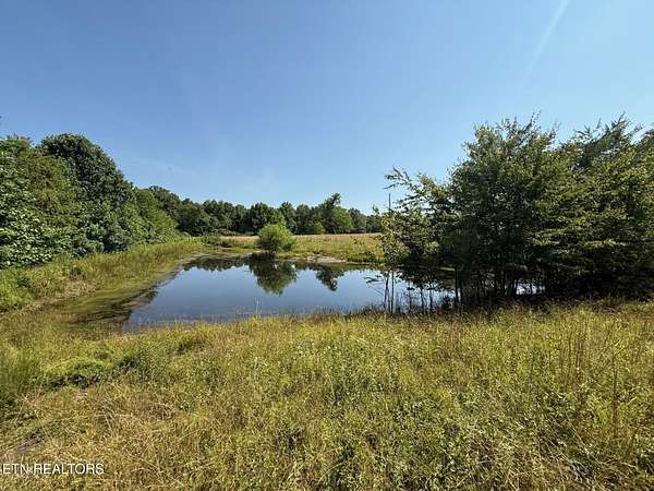14 Acres of Land for Sale in Sparta, Tennessee