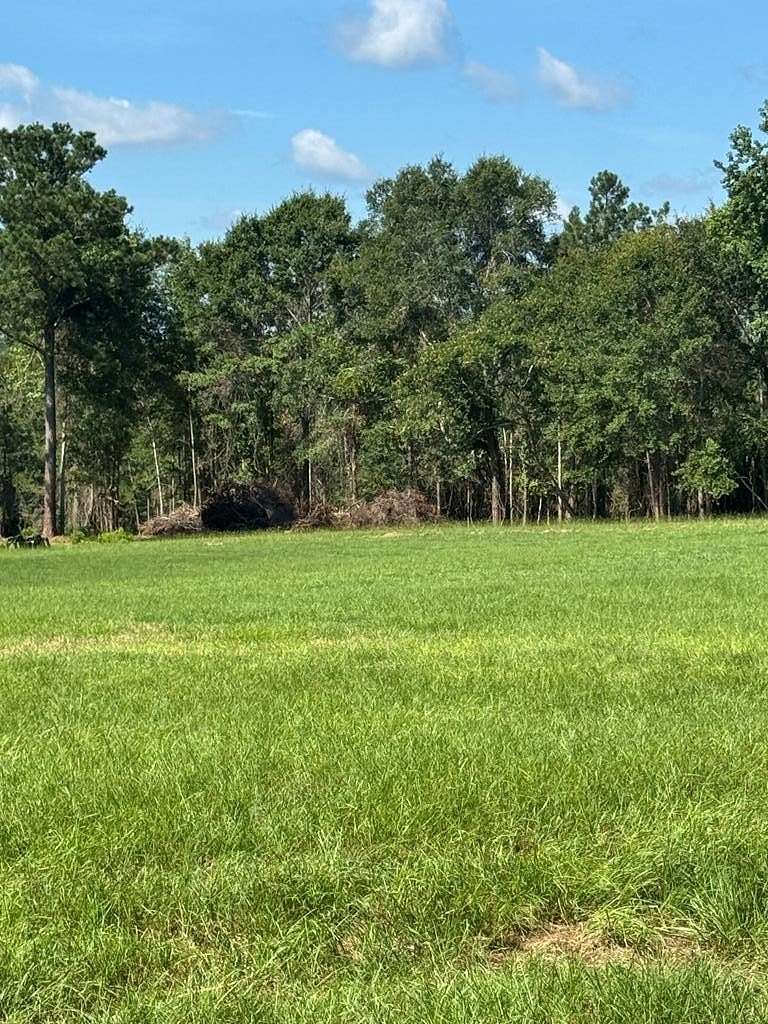 4 Acres of Land for Sale in Brundidge, Alabama