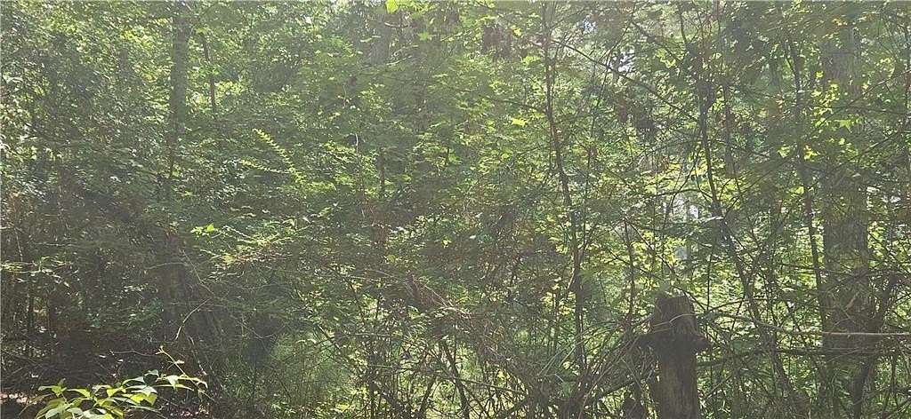 2 Acres of Residential Land for Sale in Pittsview, Alabama